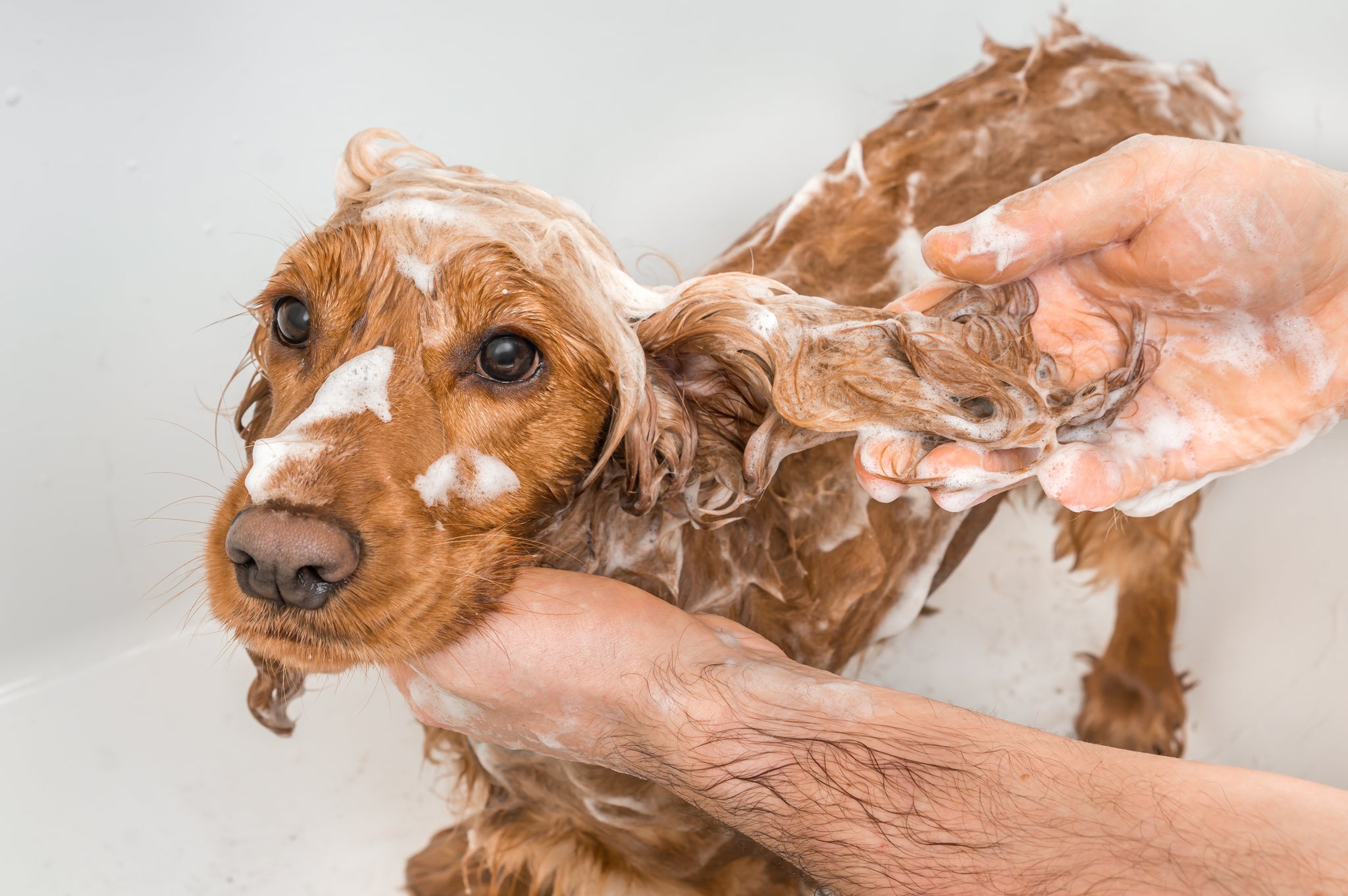 Bathtime